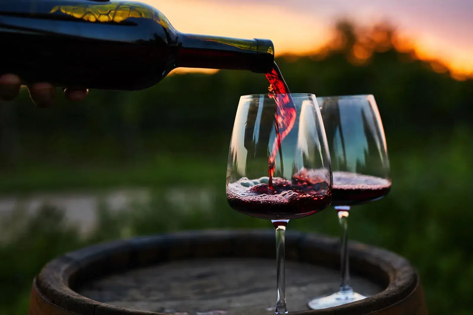 Wines and Champagne